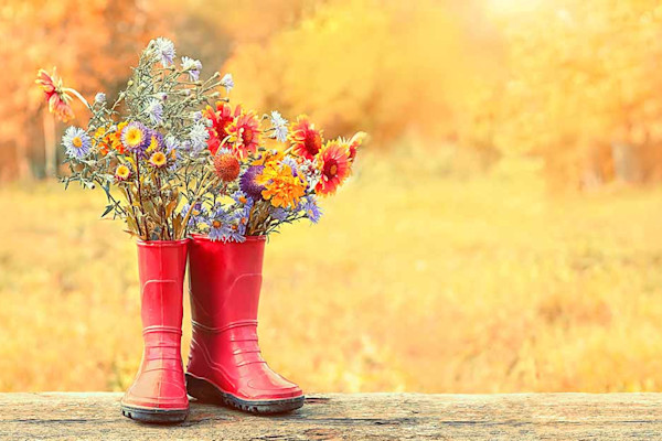 Using autumn images for social media
