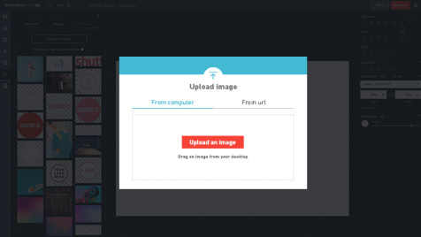 Introducing Powerful Image Background Remover | Shutterstock