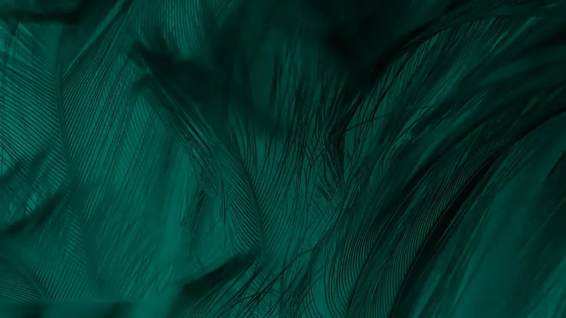 Background Images, Pictures, Photos - Background Photographs | Shutterstock