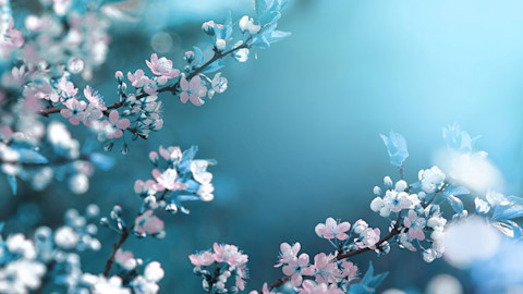 : фотографии | Shutterstock