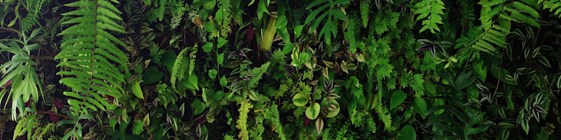 Spring Feelings - Curated Collection - Shutterstock