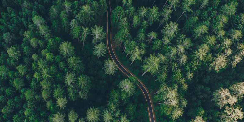 Download Shutterstock images—free! | Shutterstock