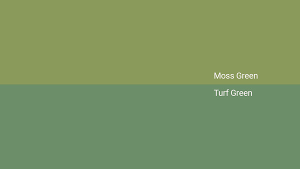 Turf Text Color Chart Moss Green Color - Combinations, HEX Code - Shutterstock