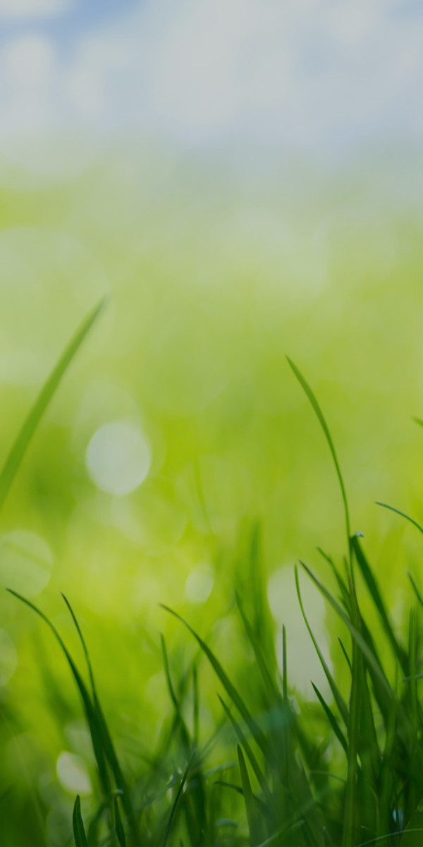 Spring Images, Pictures, Photos - Spring Photographs | Shutterstock