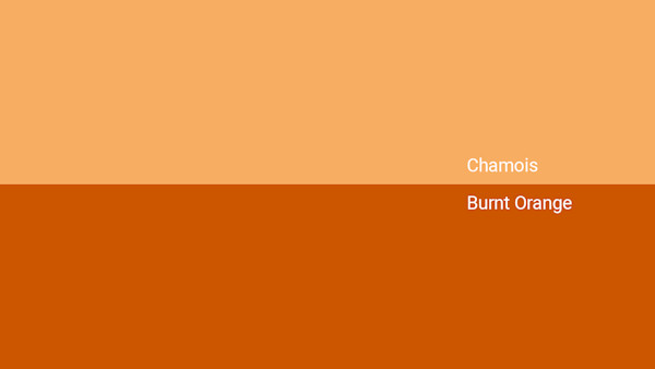 Chamois Color Code Chamois Color - Combinations, HEX Code - Shutterstock