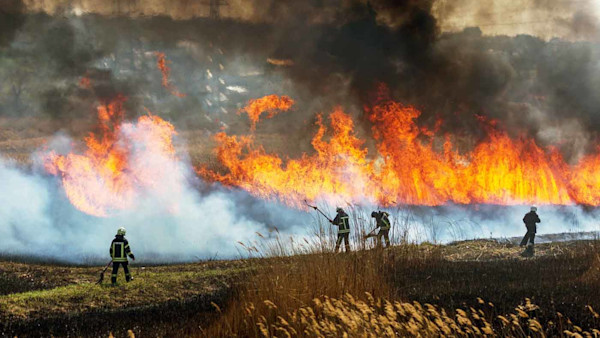 Climate-Change-Feature