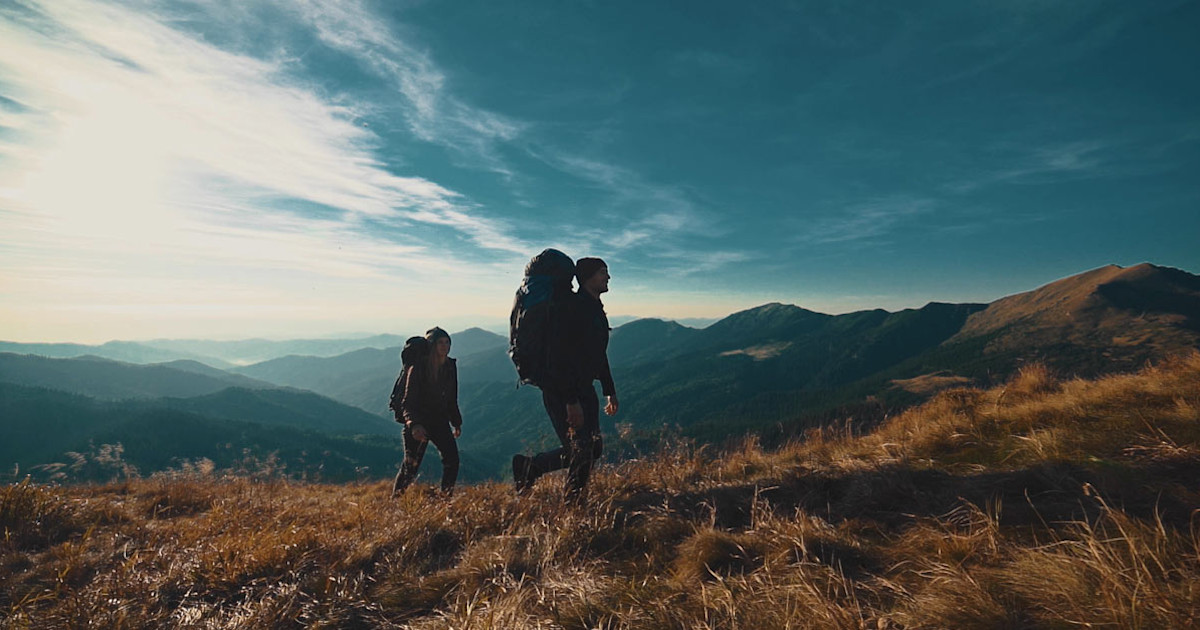 Download 1000s of Royalty-free Stock Video Clips - Shutterstock