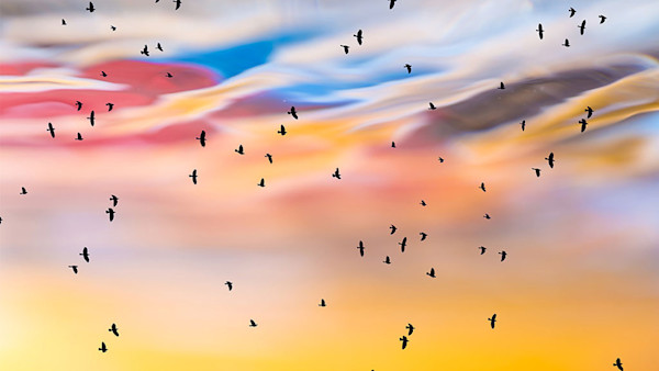 8 Ways to Be More Creative Today, Backed by Science