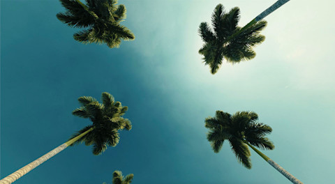 画像 写真 ベクター画像 動画 音楽素材 Shutterstock