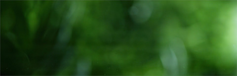 Stock Video Footage, Royalty-Free HD, 4K Video Clips | Shutterstock