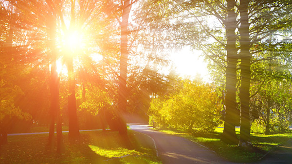 Sun Images, Pictures, Photos - Sun Photographs | Shutterstock
