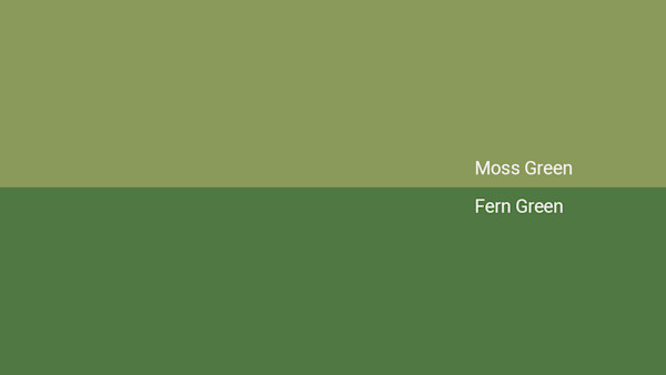 Moss Green Color - Combinations, HEX Code - Shutterstock