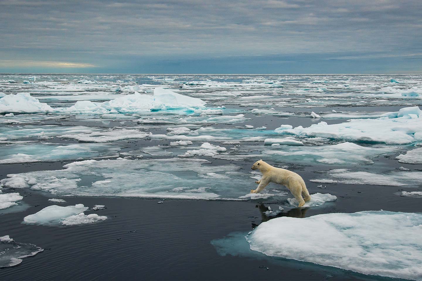 Thumbnail Environmental Protest