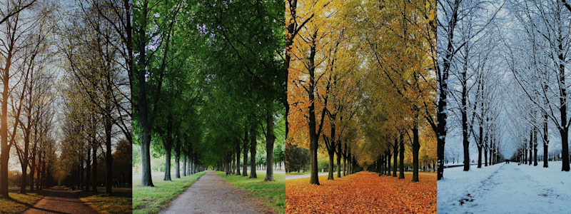 Seasons Image Example Discover Seasons Stock Images, Pictures, Photos - Shutterstock