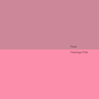 puce-v-flamingo-pink