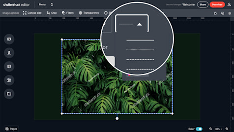 How to add an Image Border - Free Editor - Shutterstock