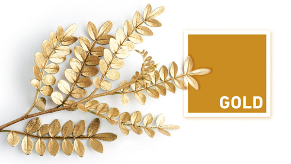 Signs and Symbols - 3