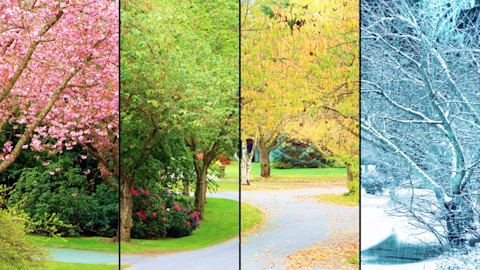 Seasonsの画像 写真 フォト素材 Seasonsの写真 Shutterstock Seasonsの画像 写真 フォト素材 Seasonsの写真 Shutterstock