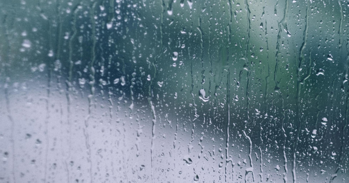 Rain Images, Pictures, Photos - Rain Photographs | Shutterstock