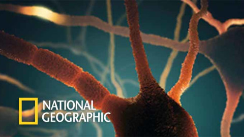 National Geographic Case Study Image copy