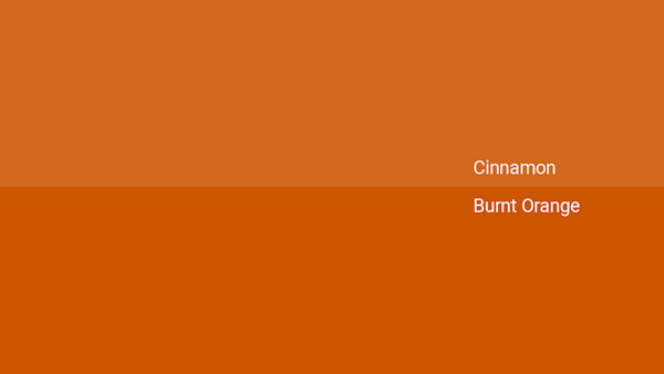 Cinnamon Color - Combinations, HEX Code - Shutterstock