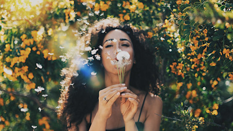 Stock Images Photos Vectors Video And Music Shutterstock Stock Images Photos Vectors Video And Music Shutterstock