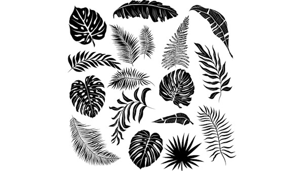 Trending vectors image #2