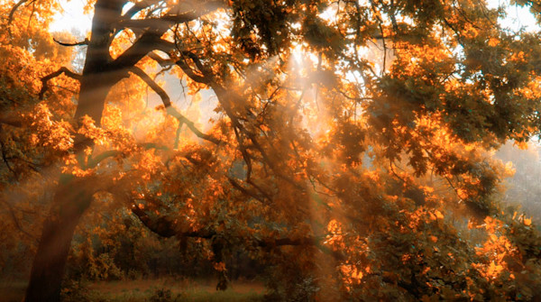 buildings-landmarks-skyscrapers-towers