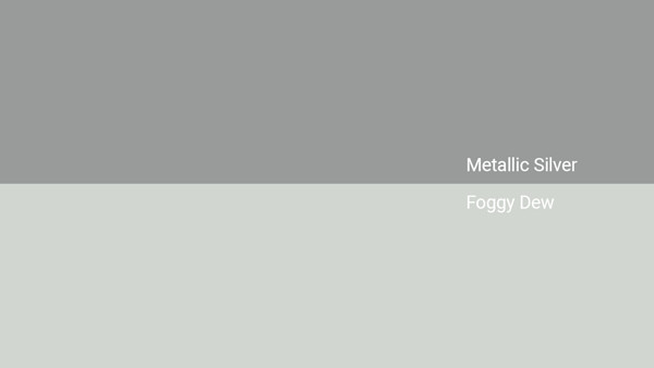 Metallic Silver Color