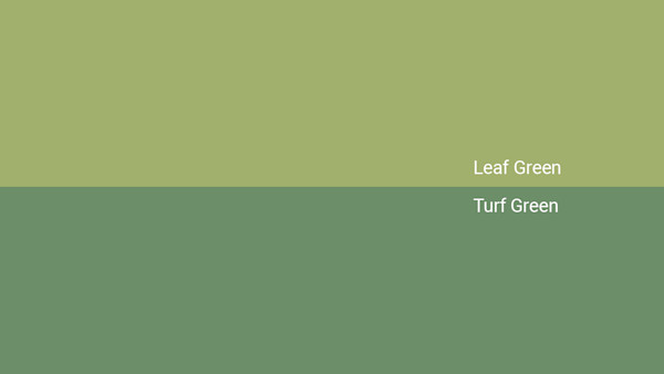Leaf Green Color - Combinations, HEX Code - Shutterstock