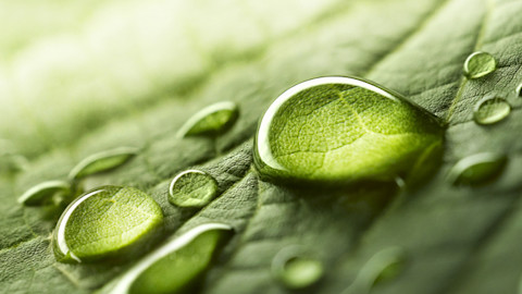 Nature Images Pictures Photos Nature Photographs Shutterstock Nature Images Pictures Photos Nature Photographs Shutterstock