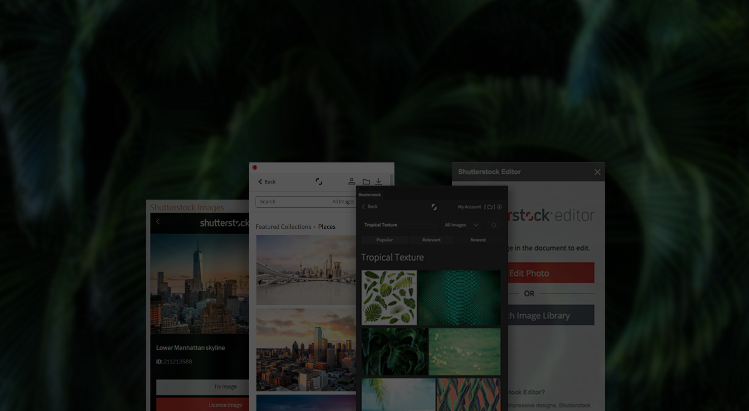 Free Plugins for Adobe Creative Cloud and More | Shutterstock