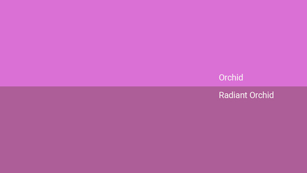 Orhide Color Orchid Color - Combinations, HEX Code - Shutterstock