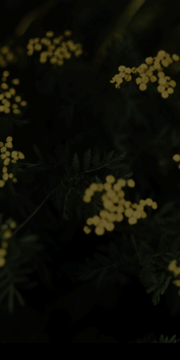 Persone Immagini, fotografie, foto Fotografie a tema Persone