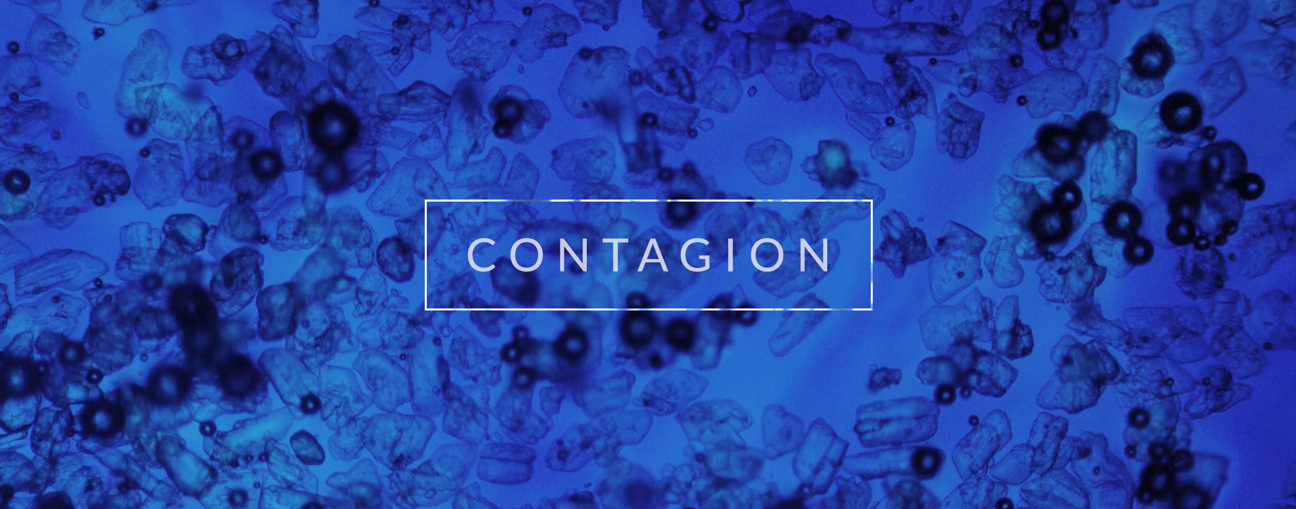 Contagion - Microscopic Effects