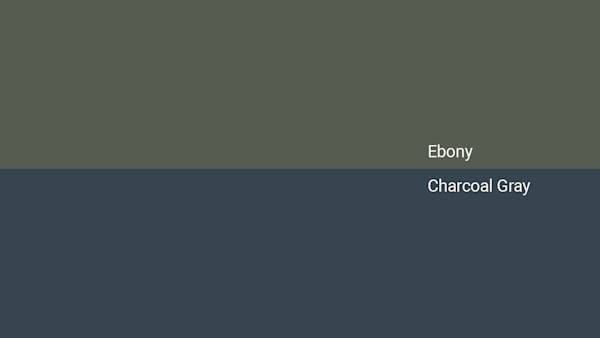 Ibony Color Ebony Color