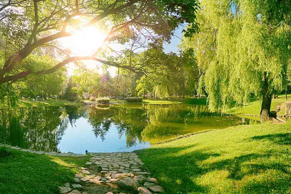 Spring Images, Pictures, Photos - Spring Photographs | Shutterstock