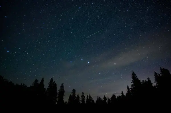 The night sky filled with stars including the Big Dipper and a bright green meteor above a skyline of dark evergreen trees. This was part of a meteor shower.