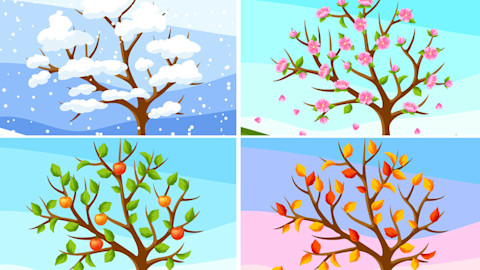 Seasons 이미지, 사진 - Seasons 사진 | Shutterstock