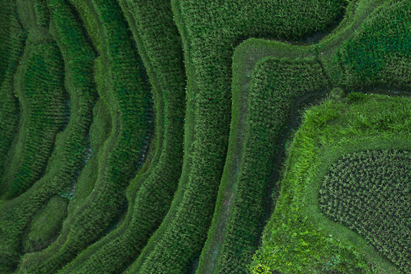 Clickable Green Stock Photos, Royalty-Free Images and Vectors ...