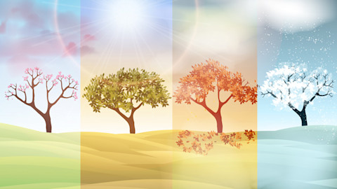 Seasons Image Example Seasons 이미지, 사진 - Seasons 사진 | Shutterstock
