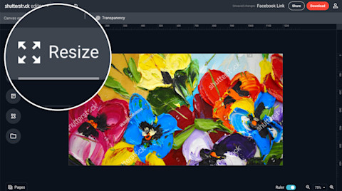 How to Resize Images Online - Free Image Editor - Shutterstock