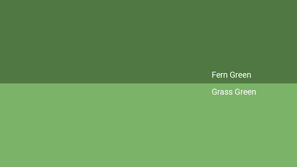 Fern Green Color - Combinations, HEX Code - Shutterstock