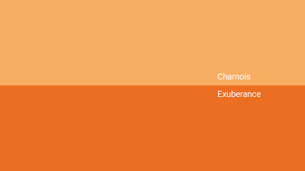 Chamois Color Code Chamois Color - Combinations, HEX Code - Shutterstock