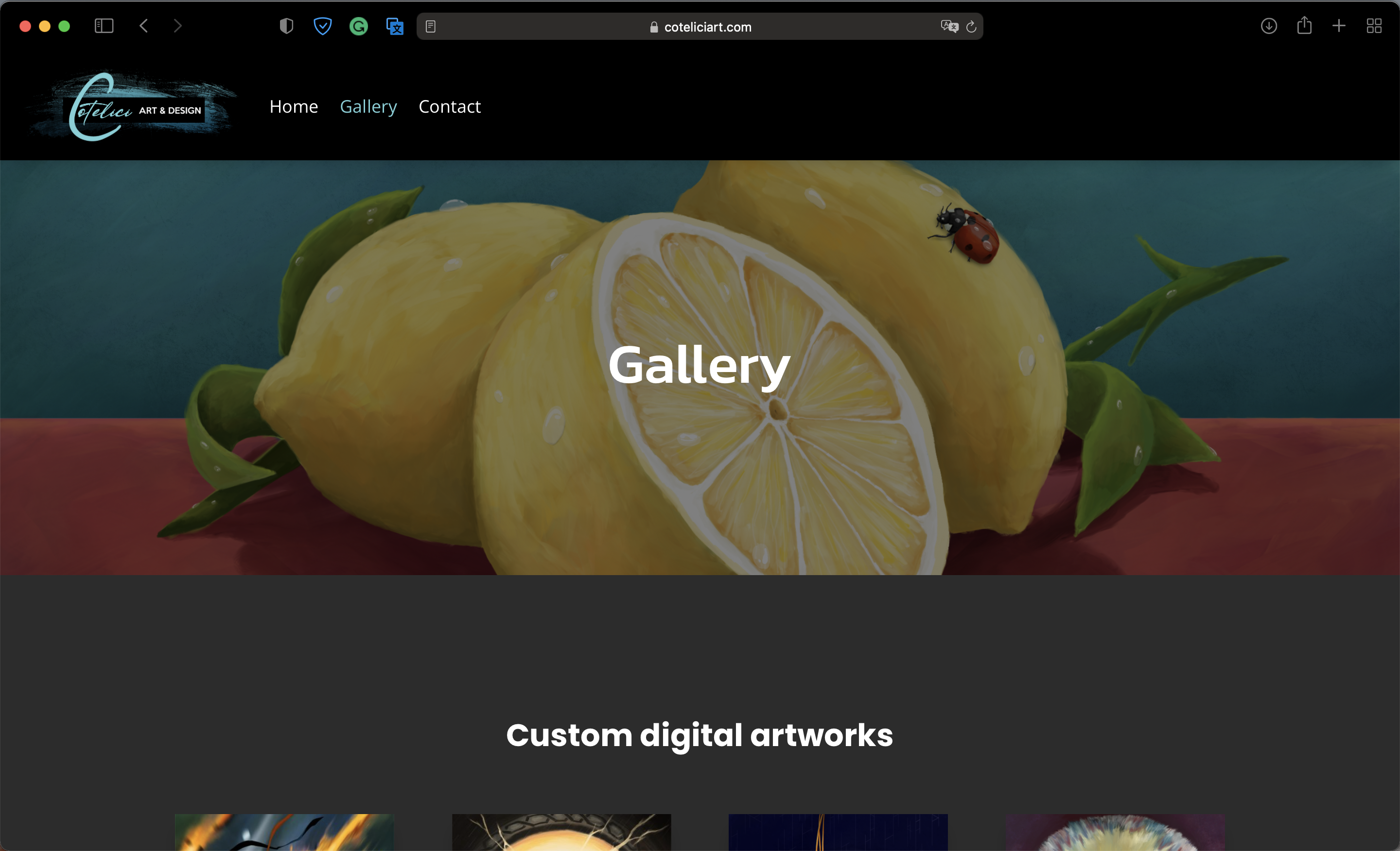 Cotelici Art & Design - Desktop - Gallery