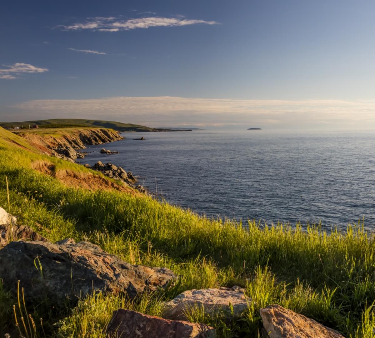 Coastal landscape featuring rocky cliffs, lush green grass, and a calm blue ocean under a clear sky.