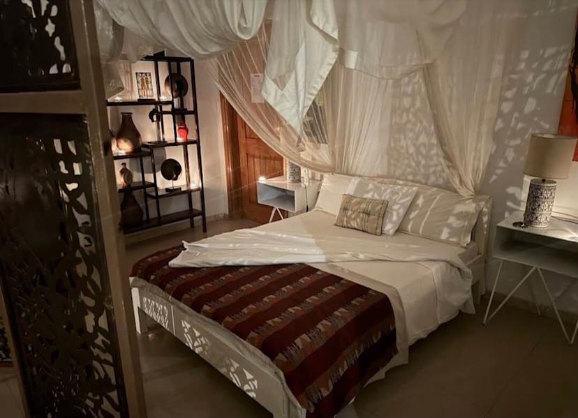 large-bed-with-mosquito-net-canopy