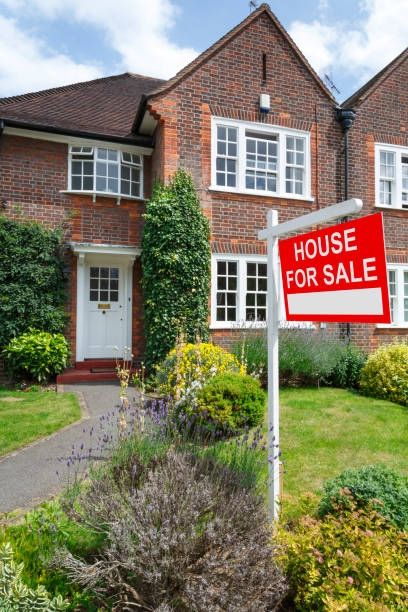 Selling a Property With Damp: Disclose, Fix, or Take the Hit?