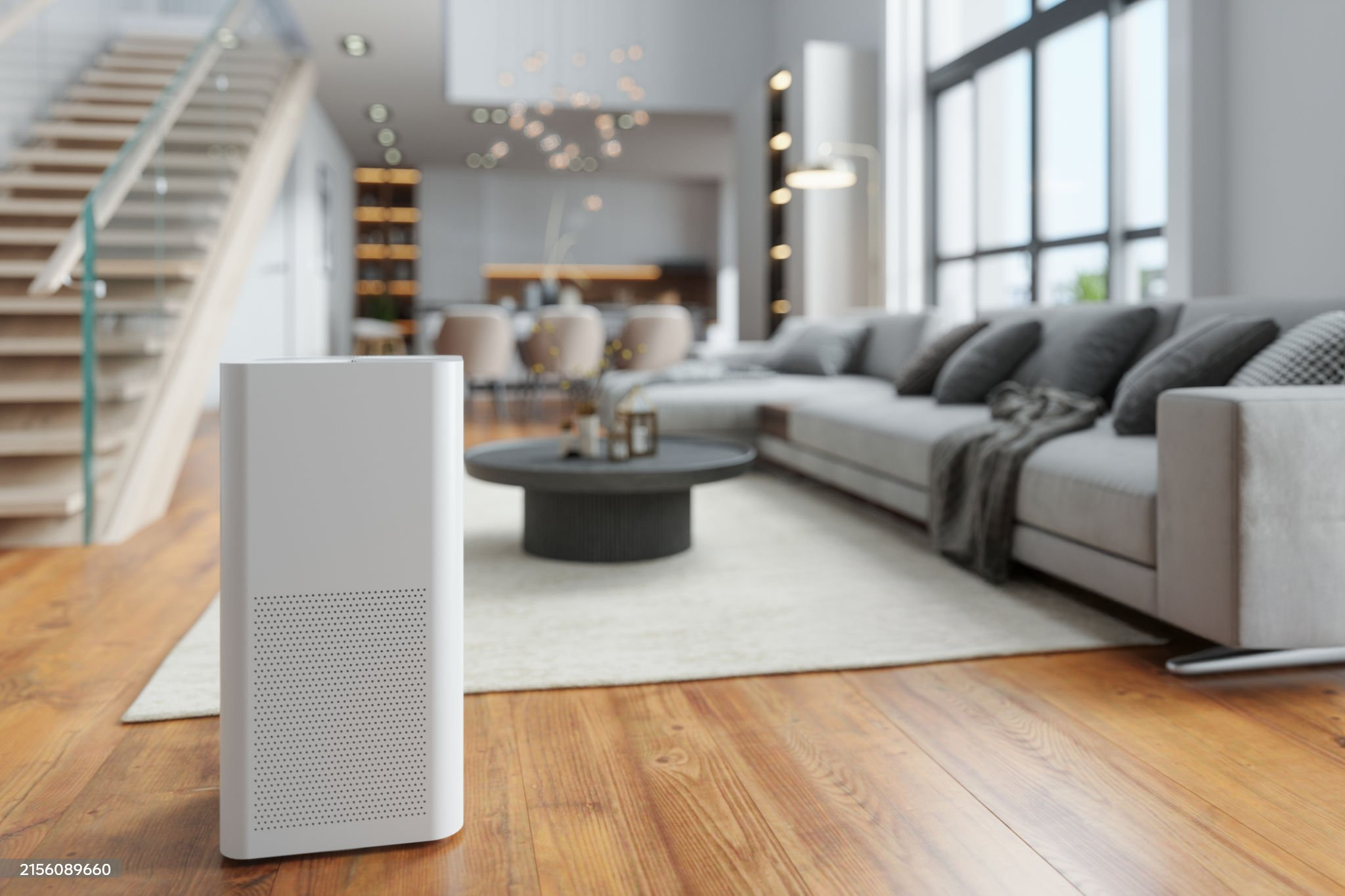 Do Dehumidifiers Actually Fix Damp? What You Need to Know