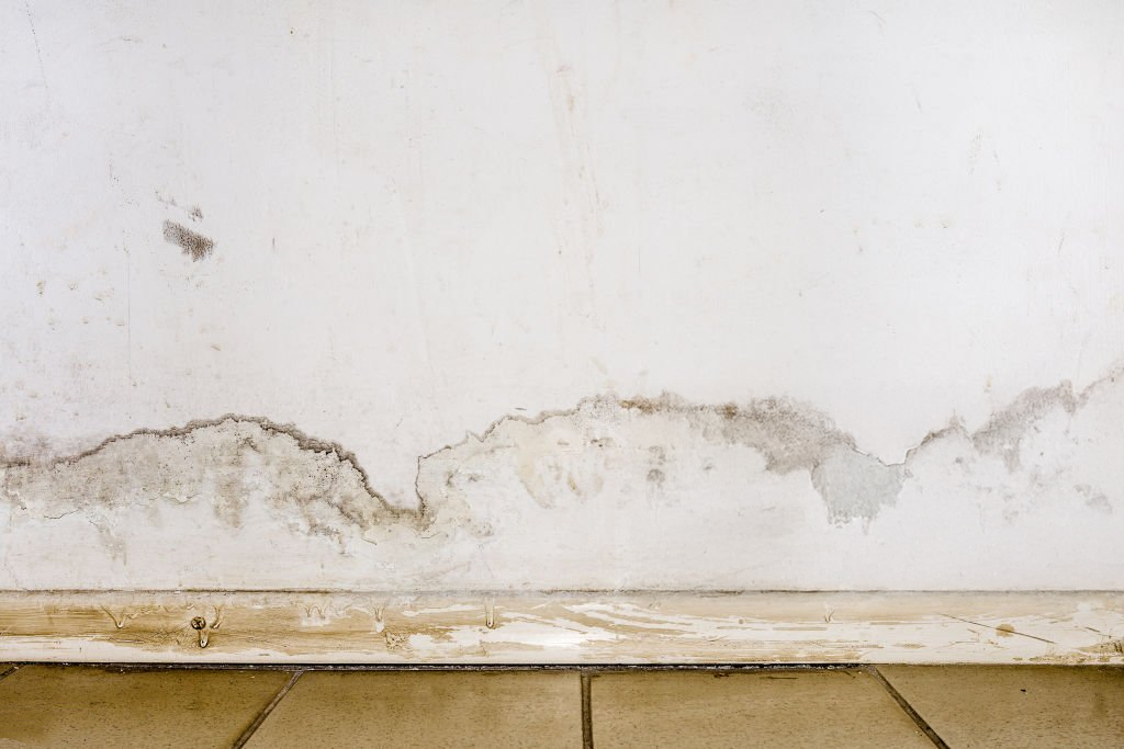 Rising Damp vs Penetrating Damp vs Condensation: How to Tell the Difference
